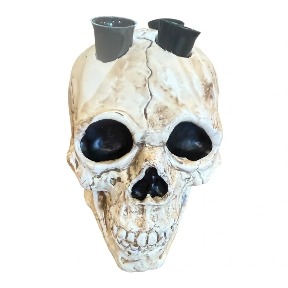 Skull with 5 vials for shots EUC Decor